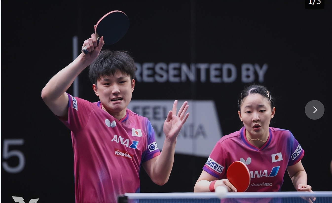 熊猫直播-关于奥地利乒乓球队横扫法国乒乓球队，张本智和高光表现的信息